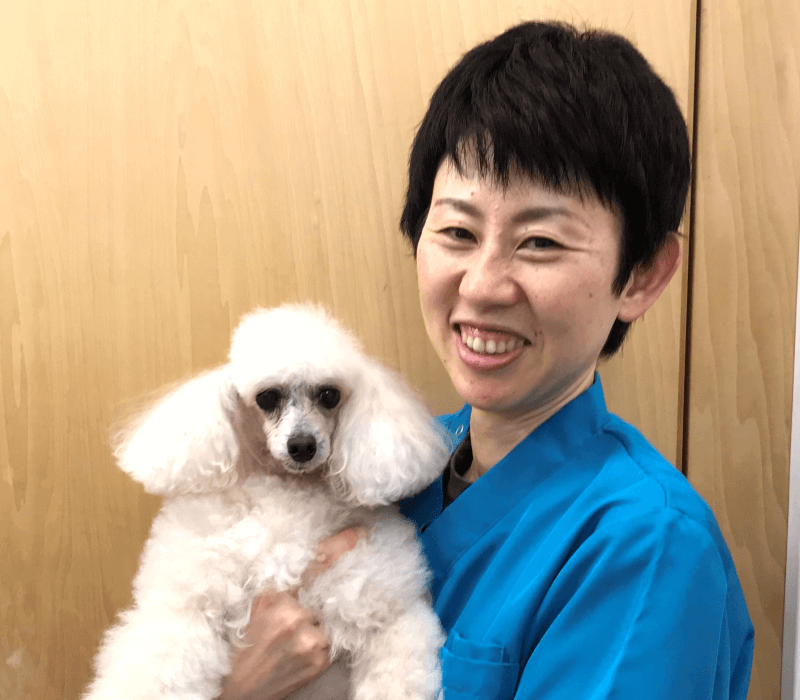 愛玩動物看護師　猪子 理恵