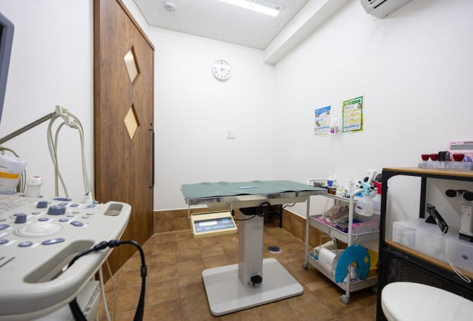 第２診療室（主にねこちゃん）