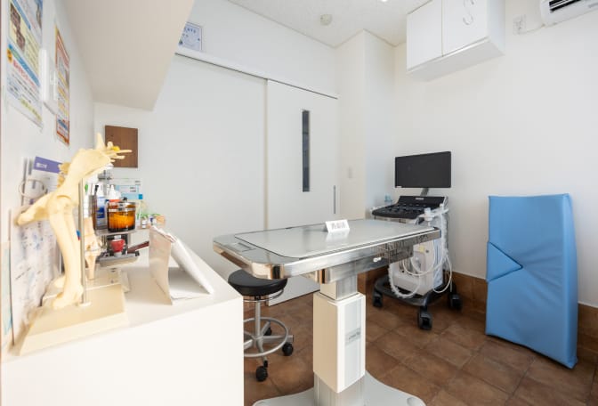 第１診療室（主にわんちゃん）