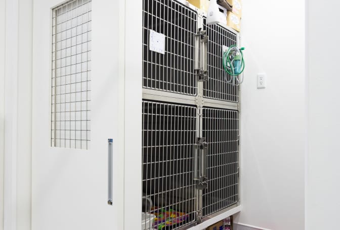 猫用入院室