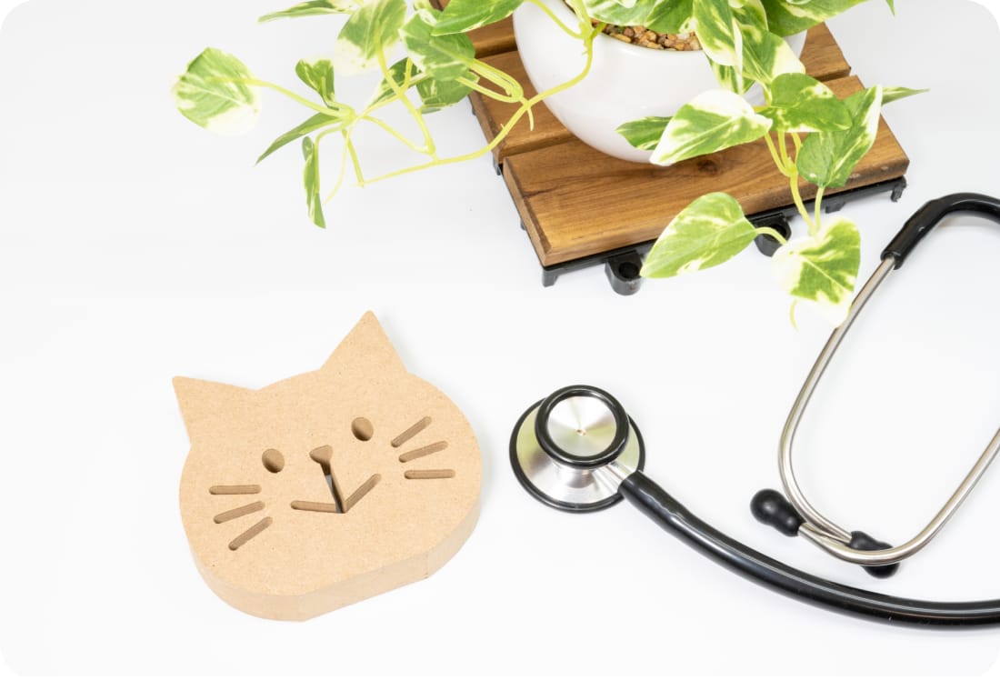 健康診断イメージ画像