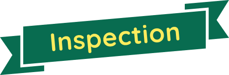 Inspection