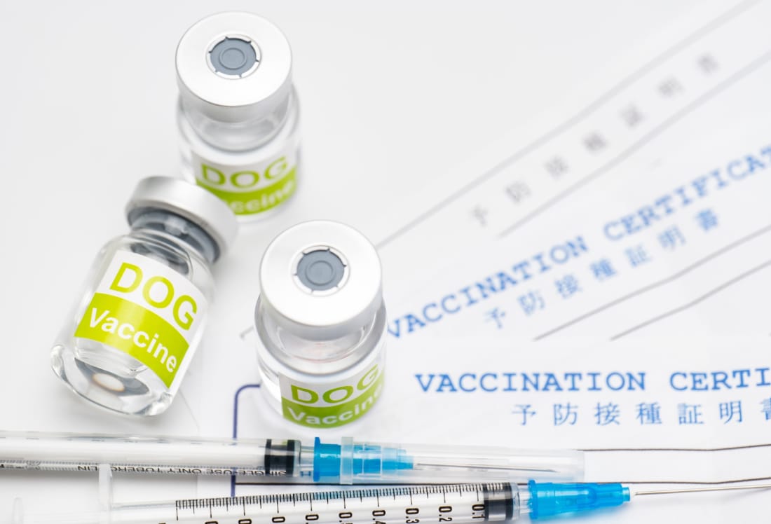 予防ワクチンイメージ画像