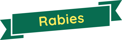 Rabies