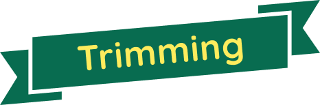 Trimming