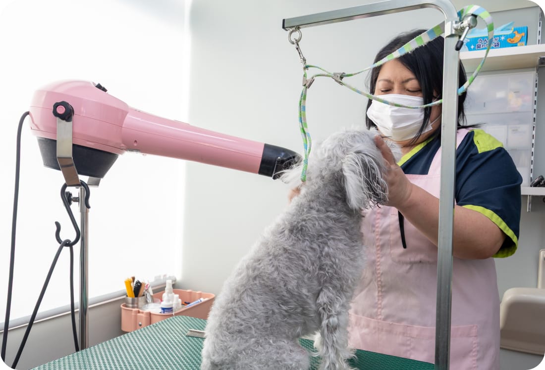 トリミングの画像